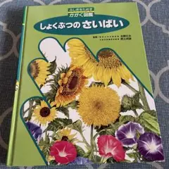 しょくぶつのさいばい