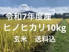 令和7年度産　ヒノヒカリ10kg(玄米)送料込　農家のお米のサムネイル