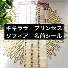 キャラクター　名前シール 食洗機対応　キキララ　ディズニープリンセス　ソフィア