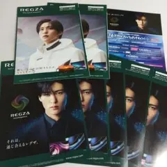 SnowMan 目黒蓮 レグザ カタログ パンフレット チラシ まとめ売り