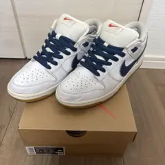 Nike SB Dunk Low Orange Label