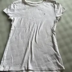 Item thumbnail for item 200fbc37-4f9f-4a03-890b-6f92d4c81f33