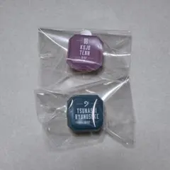 アイナナ 10周年 リングライト 天・龍之介