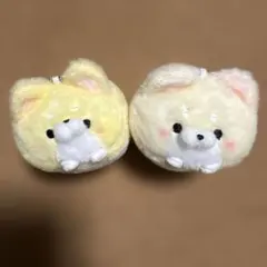 ころころ　しばわん　パステル　ぬいぐるみ　マスコット　柴犬