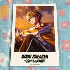 WIND BREAKER ウィンヒロ AJ ポラロイドカード 兎耳山 獅子頭連