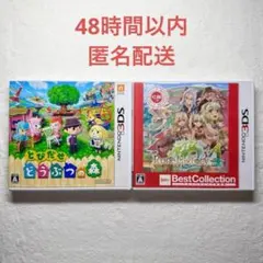 とびだせどうぶつの森 + ルーンファクトリー4