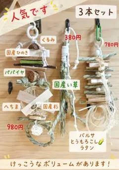 143 ロング 自然素材 ウッドクライミング インコ ガジガジバードトイ