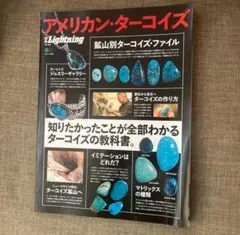 lightning ヴィンテージ