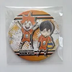 ハイキュー展 日向翔陽 影山飛雄 コレクション缶バッジ 第8弾ハイキュー！！