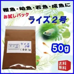 めだか 餌 エサ◇ライズ２号 ５０ｇ◇メダカ えさ☆ 愛好家御用達【b111のサムネイル