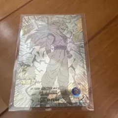 apt-006 パラレル　孫悟空　他まとめ売り