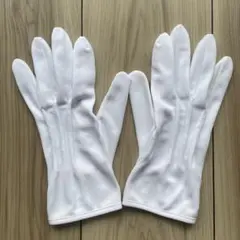 Item thumbnail for item 5fa5e35e-e3ba-4267-a4bc-9b6178cd7f36