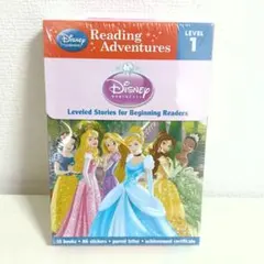 Disney ディズニープリンセス 英語絵本 10冊セット