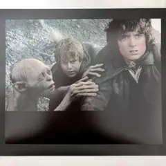 ヴィゴ・モーテンセン ロード・オブ・ザ・リング 直筆サイン - メルカリ