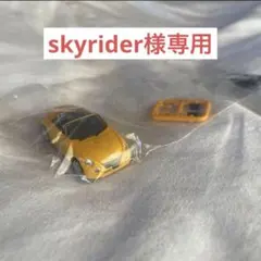 【skyrider様専用】コペンミニカー