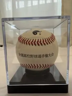 シリアルナンバー付き！全国高校野球選手権大会記念　 甲子園ボール