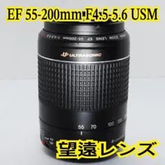 Item thumbnail for item eec514e3-a4aa-4839-944b-38905239eec9