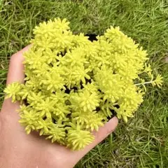 プロフ確認宜しく‼//あっくんママ様 リクエスト 3点 まとめ商品