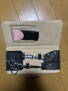 Item thumbnail for item 06c819e6-0aec-4917-9bc3-f3c5948e42c1