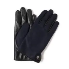 BEAMS MOON ソリッドレザー グローブ　タッチパネル対応　メンズ　手袋