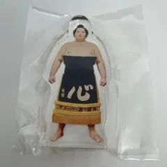 Item thumbnail for item d6cf46dd-13a0-46fb-a208-5760b29aeb2e