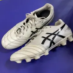 asics DS LIGHT 25.0センチ