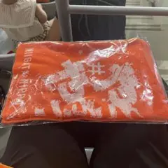 【新品・限定品】アルビレックス新潟 スペシャル 応援タオル
