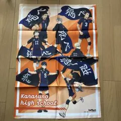 ハイキュー 布ポスター 烏野高校