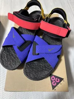 NIKE ACG AIR DESCHUTZ 25cmのサムネイル
