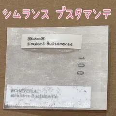 C.is様 リクエスト 4点 まとめ商品