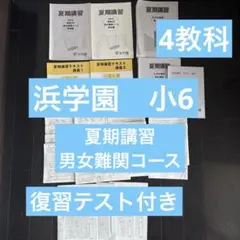 2026年最新】浜学園 理科暗記テキストの人気アイテム - メルカリ
