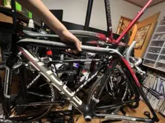 2025年最新】focus cayoの人気アイテム - メルカリ