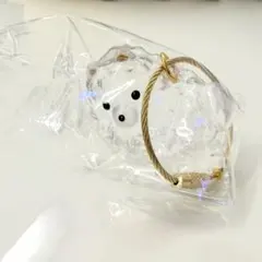 ポメラニアン　うちの子のけだまだま