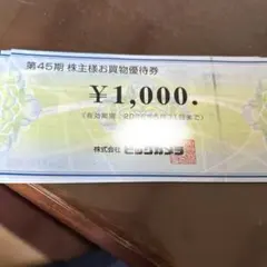 ビックカメラ　株主優待券　6000円