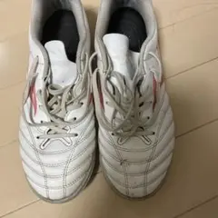 Item thumbnail for item 78f89b7c-39d8-417f-b457-fbebbd350e46