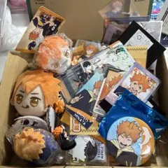 2025年最新】日向翔陽まとめ売りの人気アイテム - メルカリ