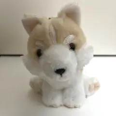 2025年最新】もふっとオオカミの人気アイテム - メルカリ