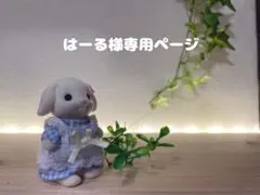 はーる様専用ページ ミニチュアドール服