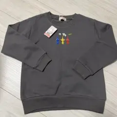 Item thumbnail for item 125529f2-d6cd-40fe-b88b-da8ba345d027