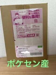 ポケモンカードゲーム MEGA 拡張パック インフェルノX BOX 新品未開封