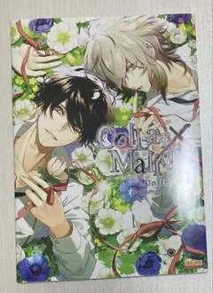 2026年最新】Collar×Malice 公式ビジュアルファンブック の人気