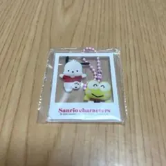 サンリオ はいっ！ポーズ！キーホルダー2 けろけろけろっぴ＆ポチャッコ