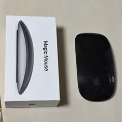 Apple純正 Magic Mouse （Lightning ）
