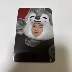 Straykids バンチャン maxident JYP 特典 トレカ