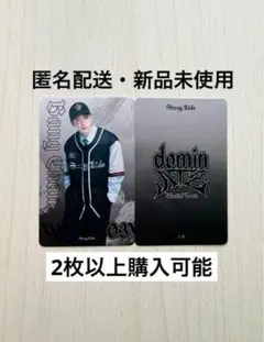 Stray Kids dominATE フォトカード・バンチャン(ノーマル)1枚