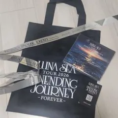 2026年最新】国内アーティスト：LUNA SEA ミュージシャン バッグ