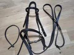 Item thumbnail for item 7d3717a7-d848-4074-8eb2-5b450fe130fe