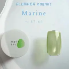 PLUMPER magnet enoi ジェルネイル 新品未開封