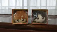 もちもちマスコットタイニータン