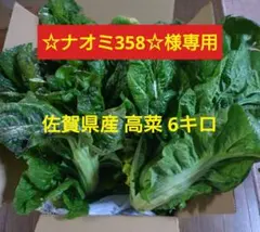 ☆ナオミ358☆様専用 佐賀県産 高菜 6キロ 農薬不使用